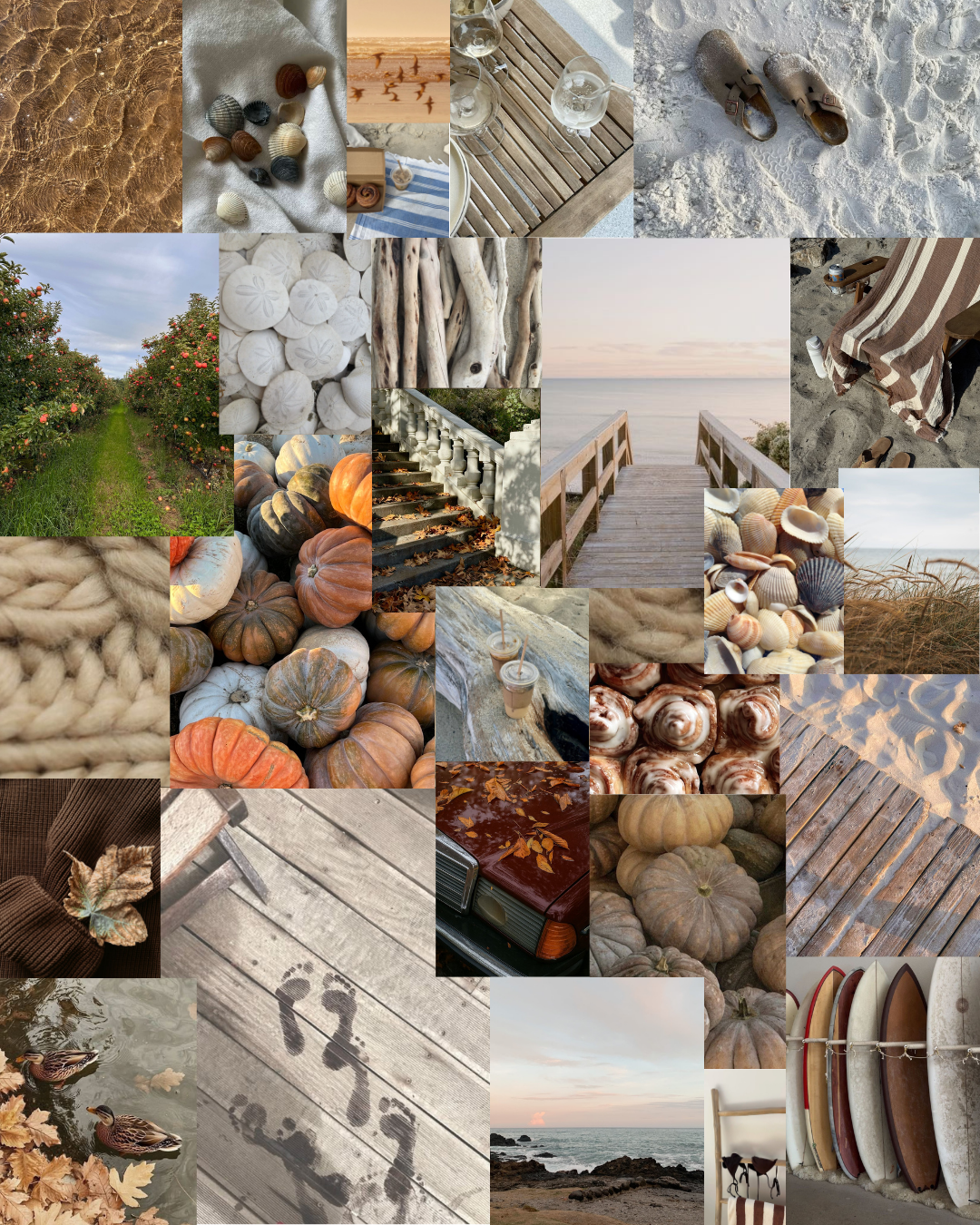 cocoa coast collection